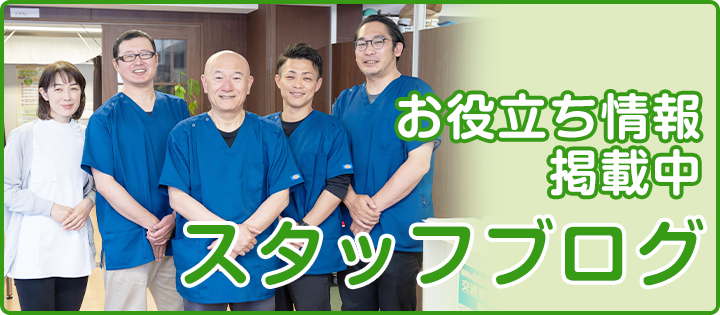 スタッフブログ